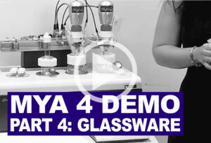 Mya Demo- Glassware